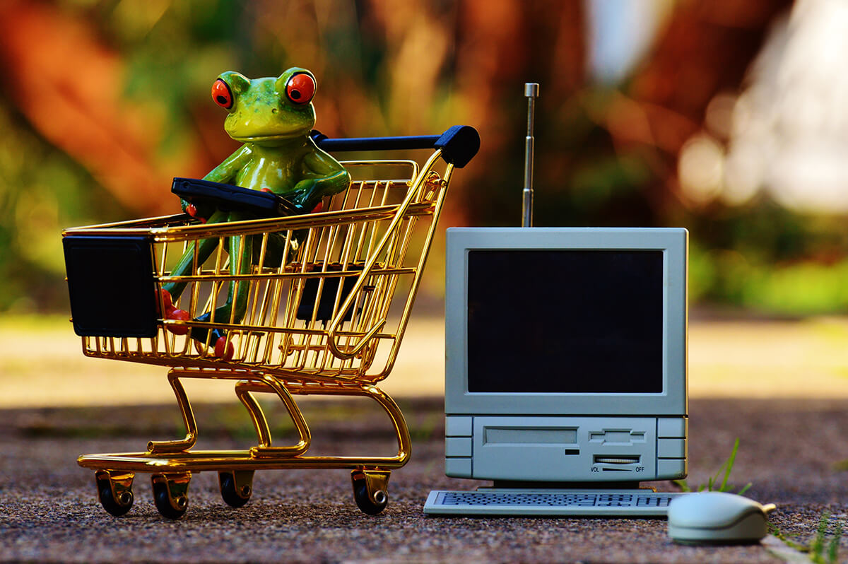 Marketing und SEO-Optimierung